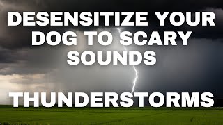 Dog Desensitization Sounds for Dogs amp Puppies Thunder [upl. by Kopaz]