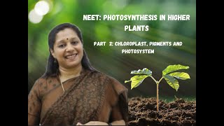 NEET Photosynthesis In Higher Plants Part2 Chloroplast Photosystem Pigements [upl. by Schoenburg]