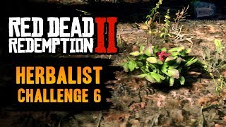 Red Dead Redemption 2 Herbalist Challenge 6 Guide  Pick 15 different species of herb [upl. by Tedra]