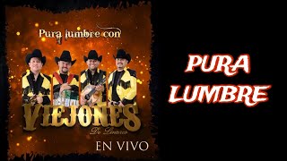 Pura Lumbre  Vídeo Liryc  Los Viejones de Linares [upl. by Ruhtracm757]