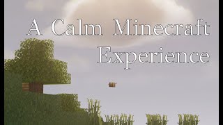 A New Day  A Calm Minecraft 1 [upl. by Einnaffit]