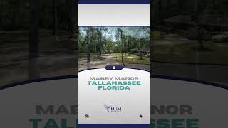 Tallahassee Neighborhoods  Mabry Manor [upl. by Muna]