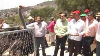 Construirán parque ecológico en la Sierra de Guadalupe en Ecatepec [upl. by Muller50]