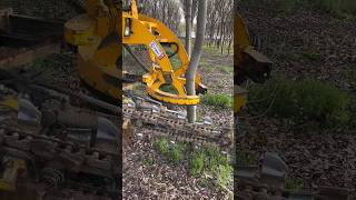 TreeDigging didingmachine treedidingmachine treedidingvideo HeavyMachinery TreeRemoval [upl. by Warren771]