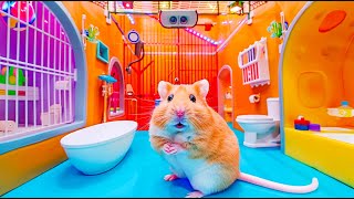 🌈 Hamsters Magical Escape from the Rainbow Maze 🐹 Hamster Maze [upl. by Nancy]