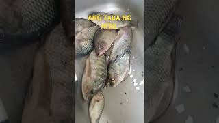 facebook fishing reels video youtubeTEDURAY [upl. by Woodhead]