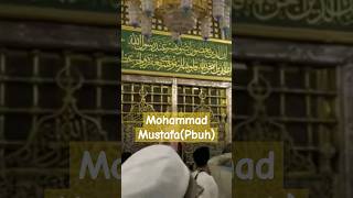 Mohammad Mustafa pbuh naat milad islamic muslim shorts 2024 viralshorts [upl. by Mik]