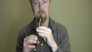 Tin Whistle Lesson  Beginner  Mary Had a Little Lamb Simplified Version [upl. by Nonnahs]