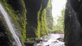 【シワガラの滝】 ～兵庫県新温泉町上山高原～ [upl. by Oneal]