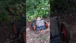 Yellow Jackets Swarm The Lawn Mower [upl. by Crin]