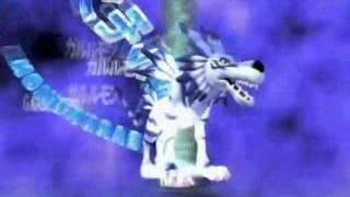 Garurumon Digivolve to Weregarurumon HQ ENGLISH [upl. by Acino470]