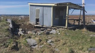 Puffin Cam pushed back due to storm damage [upl. by Eceinart917]