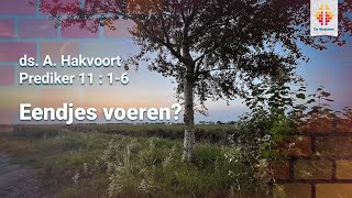 Eendjes voeren  Kerkdienst zondag 15 september avond [upl. by Rayna622]