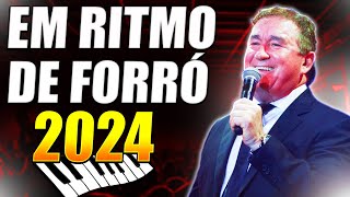 🎵 AMADO BATISTA EM RITMO DE FORRÓ AS MELHORES SERESTAS DE 2024 EM DESTAQUE 🎵 [upl. by Obau]