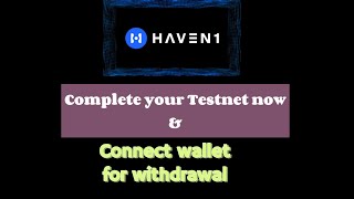 Haven1 Testnet tutorial This is how to do the Testnet amp Connect Wallet on Satoshi MetaMask haven1 [upl. by Herrmann503]