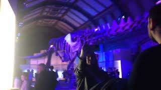 Seeing a cast of Patagotitan was so awesome [upl. by Wyon115]