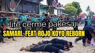 SAMARI FEAT ROJO KOYO REBORN EDISI SORE LIFE CERMEfirmansxchanel5979 [upl. by Yerffoeg]