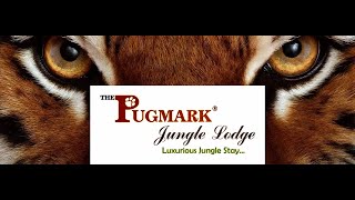 Pugmark Jungle Lodge  Tadoba Andhari Tiger Reserve  Moharli  Best stay [upl. by Seabrooke]