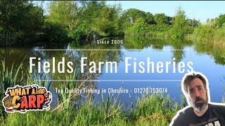 FIELD FARM FISHERIES  SANDBACH  CREWE [upl. by Calabresi]