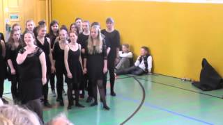 Jugendchor Vivo der MusikAkademie Basel S isch mer alle ei Ding EJCF Basel 2014 [upl. by Ydnarb]