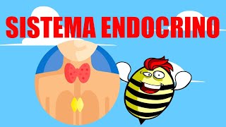 🟥SISTEMA ENDOCRINO 💚EXPLICADO FÁCIL🧠GLÁNDULAS Y HORMONAS🟥 [upl. by Groos]