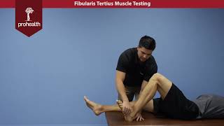 Fibularis Tertius Muscle Test Palp Dr Vizniak Muscle Manual [upl. by Bokaj]