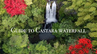 Trinidad amp Tobago  Guide to Castara waterfall  an easy 10 min hike through Tobagos lush forest [upl. by Titania]