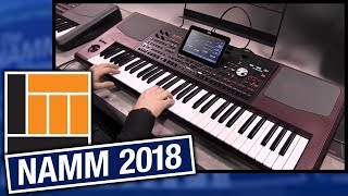 LampM  NAMM 2018 Korg Pa1000 Professional Arranger Keyboard [upl. by Boser715]