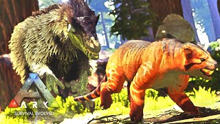 24 Thylacoleo Hunting  ARK Survival Evolved [upl. by Serafine]