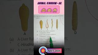 🫡🎯NEET 2025 Biology question neet neet2025 neetpreparation [upl. by Meta]