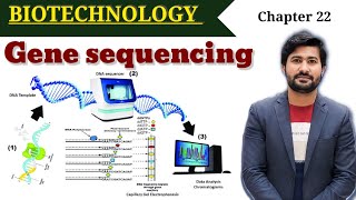 Gene Sequencing  Sangers methods  Dideoxy method  Maxim Gilbert method  Fsc class 12 [upl. by Draude]