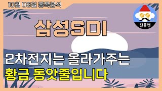 삼성SDI  2차전지는 올라가주는 황금 동앗줄입니다 [upl. by Rambert]