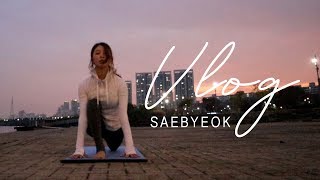 황아영 VLOG 11월의 마지막 한강 그리고 새벽 요가 수련ㅣSAEBYEOK YOGA✨ [upl. by Hieronymus]