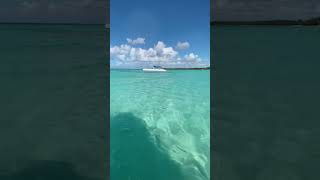 The Secret Paradise of Saona Island A OnceinaLifetime Experience shorts [upl. by Martino]