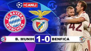 Bayern Münih 10 Benfica  Şampiyonlar Ligi Canlı Yayın [upl. by Hankins698]