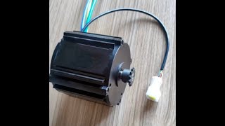 48V 600W IPM motor for child Ebike [upl. by Eeresid827]