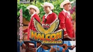 Mix Halcon Huasteco disco completo [upl. by Atiuqad]