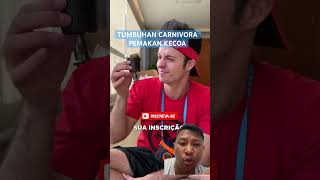 TUMBUHAN MAKAN KECOA⁉️plants carnivore reaction [upl. by Allehs875]