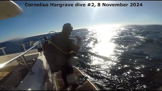 dive 2 8 November 2024 [upl. by Hanyaz]