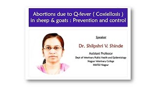 Abortions due to Qfever in sheep amp goats  Prevention and control Sheepfarming Goatfarming [upl. by Esadnac]