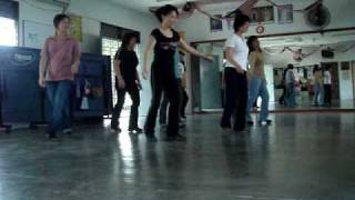 Womaniser Line Dance [upl. by Esnofla]