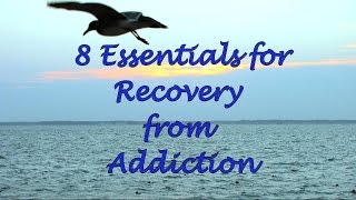 8 Essentials for Recovery from Addiction [upl. by Leelaj]