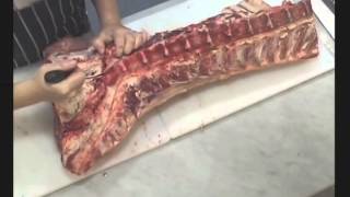 Meat Cuts Tutorial Beef Forequarter Tenderloin Rump T Bone Sirloin by The Meat Boutique [upl. by Sperling]