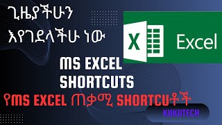 ጊዜ ቆጣቢ የExcel Shortcuቶች Time Saving Excel Shortcuts እነዚህን Shortcuቶች ካላወቃችሁ ጊዜያችሁን እያባከናችሁ ነው [upl. by Rosenfeld368]