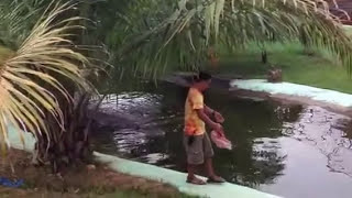 Largest Crocodile ever captured is terrifying… Meet “LoLong” [upl. by Eittol496]