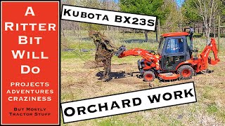 KUBOTA BX23S TRACTOR RIPS UP ORCHARD Artillian forks [upl. by Lisle]