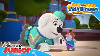 💨 Szybcy i futrzaści  Psia Brygada  Disney Junior Polska [upl. by Brest]