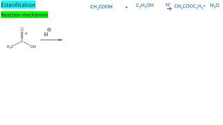 Esterification reaction mechanism2 CHEMISTRY TNSCERT [upl. by Ikir]