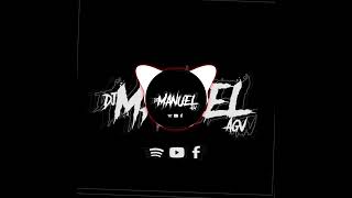 Summer Fiesta DJManuel AGv 2024 Tribal Mix [upl. by Oivalf234]