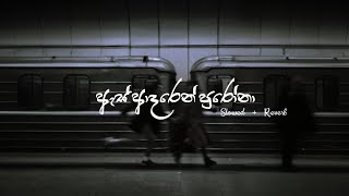 As Adaren Purona  Slowed  Reverb  Lyrics  ඇස් ආදරෙන් පුරෝනා   SachinBeatsOfficial [upl. by Tav]